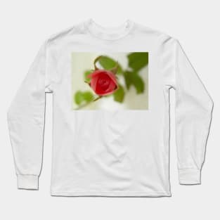 Sentimental Rose Long Sleeve T-Shirt